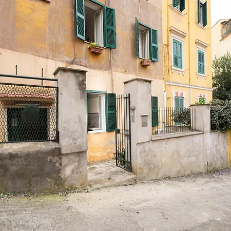 San Pietro 66